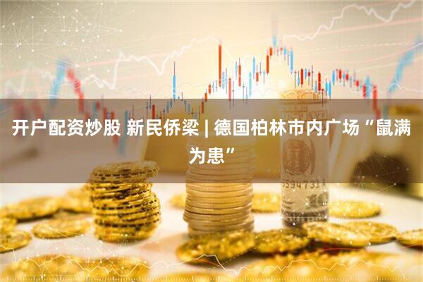 开户配资炒股 新民侨梁 | 德国柏林市内广场“鼠满为患”