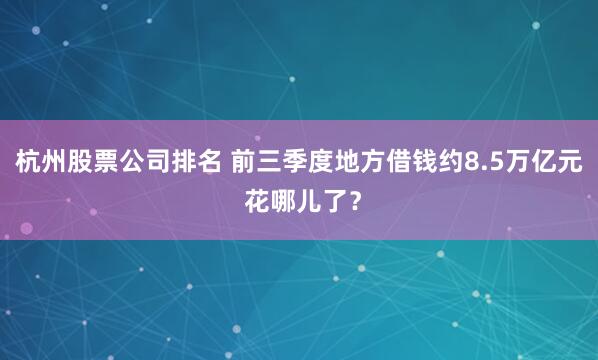 杭州股票公司排名 前三季度地方借钱约8.5万亿元 花哪儿了？