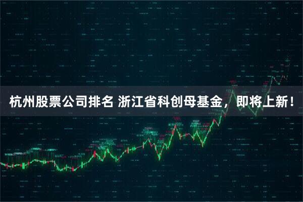 杭州股票公司排名 浙江省科创母基金,即将上新!