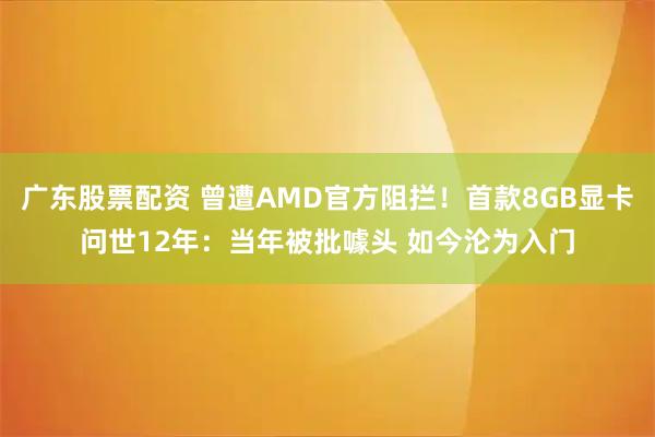广东股票配资 曾遭AMD官方阻拦！首款8GB显卡问世12年：当年被批噱头 如今沦为入门